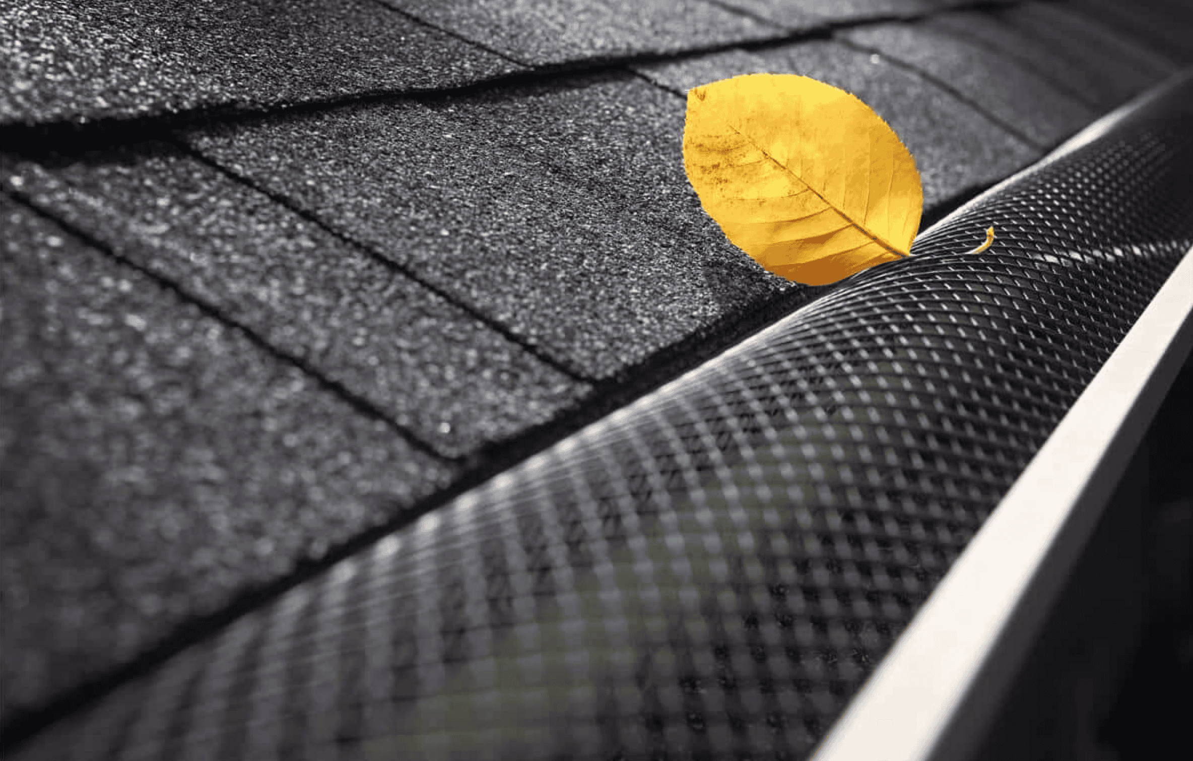 Yellow leaf on roof gutter guard.