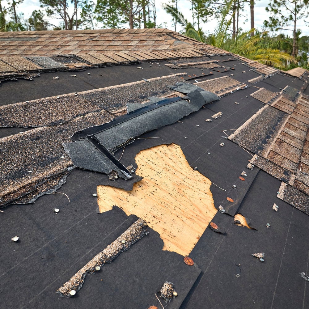 Damaged roof shingles with exposed plywood decking